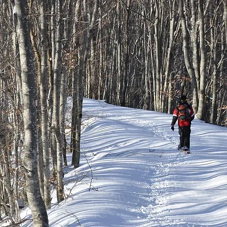 Apartamento Tana Degli Orsi *